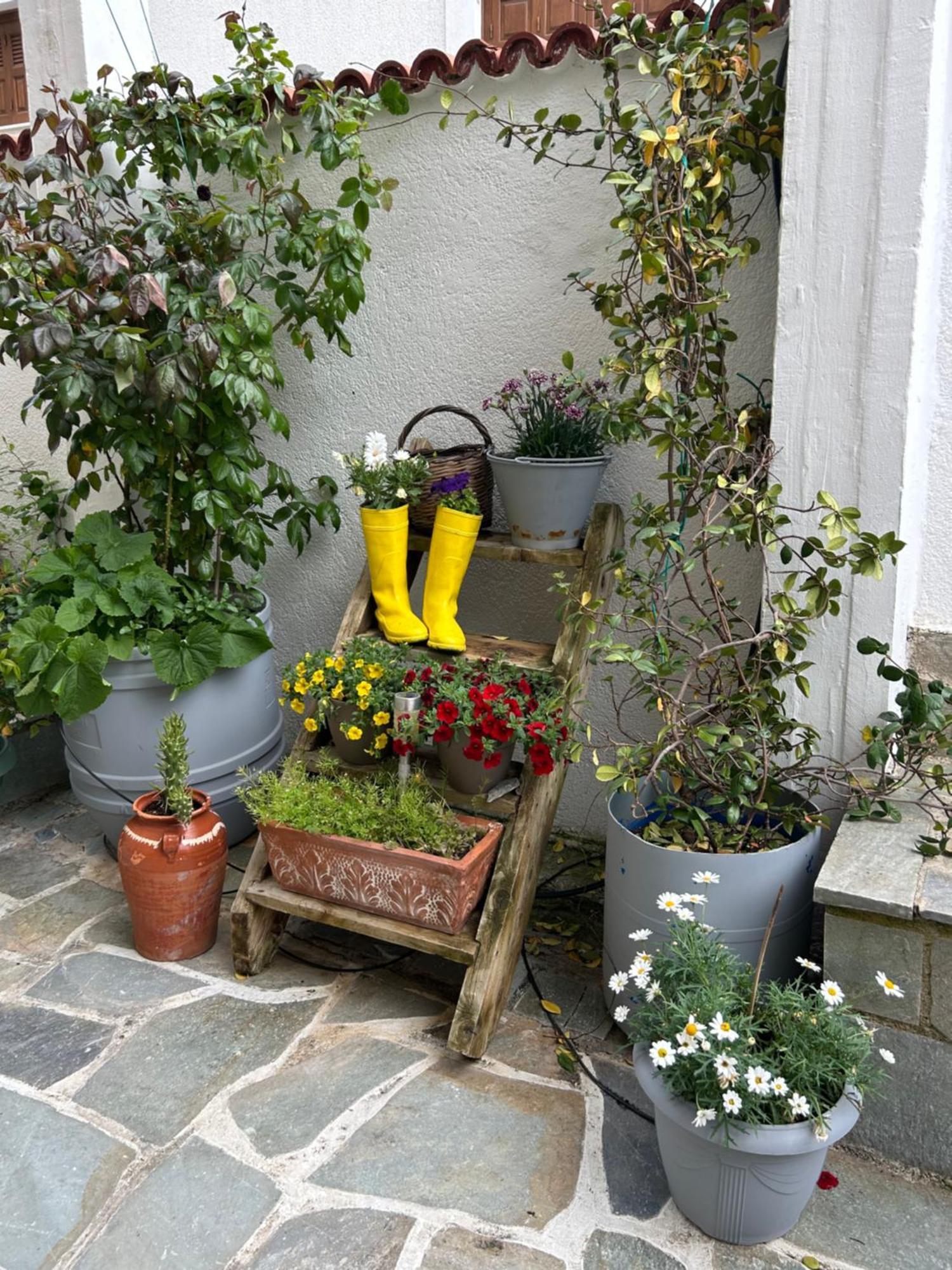 Guesthouse Doma Arachova Eksteriør billede
